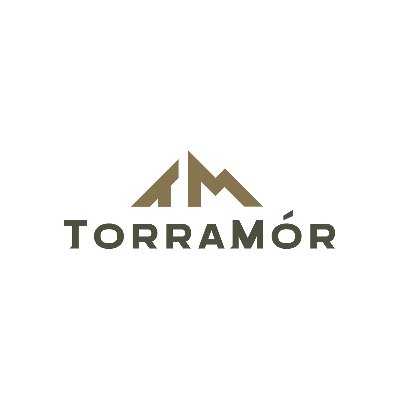 TorraMor logo