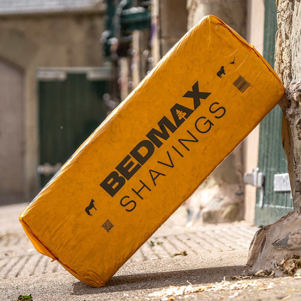 Bedmax logo