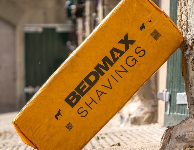 Bedmax logo