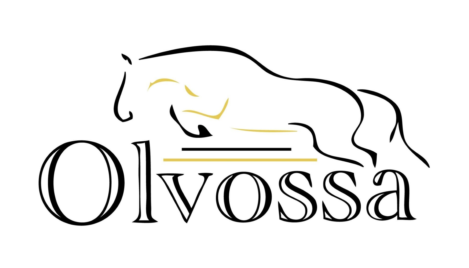 Olvossa logo