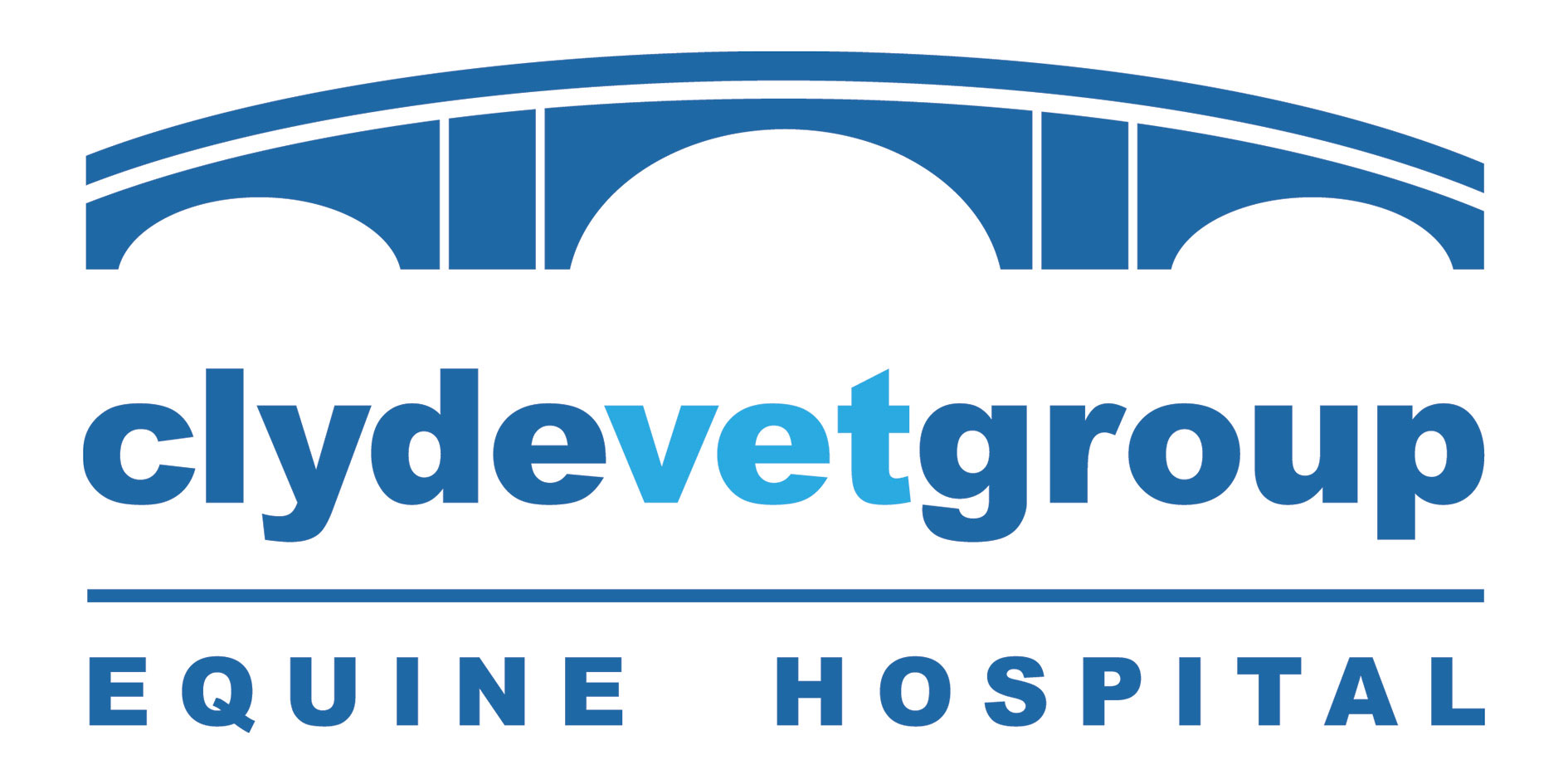 Clyde Vet Group Equine Hospital logo