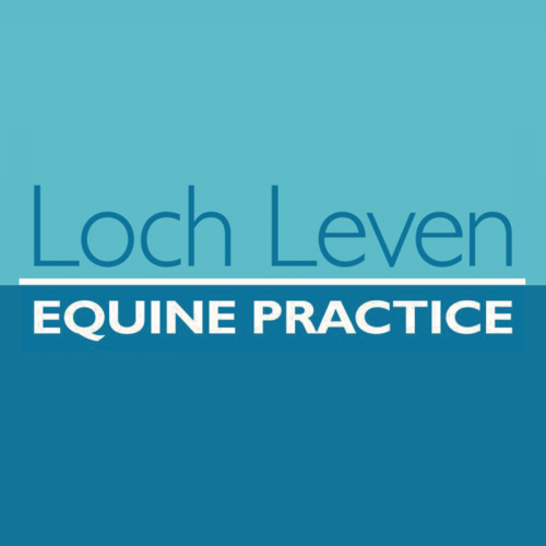Dedicated equine veterinary service in Central Scotland, offering comprehensive care for horses and ponies both on-site and at clients&rsquo; yards. Logo