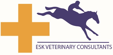 Veterinary Consultant Logo