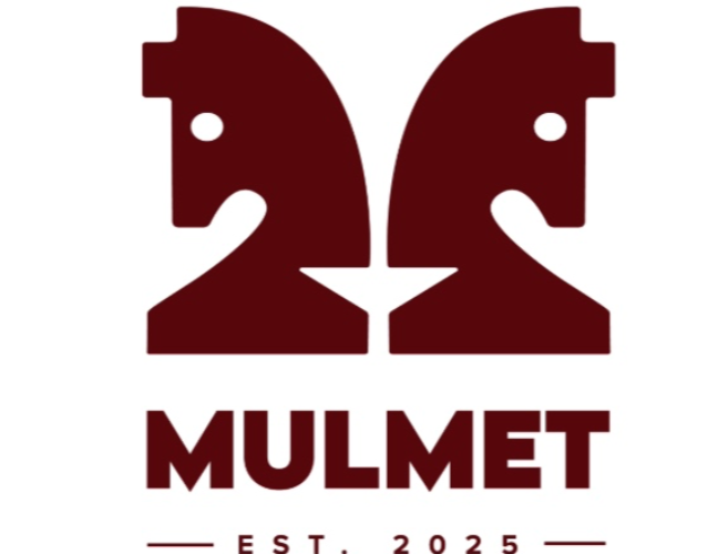Mulmet International Ltd logo