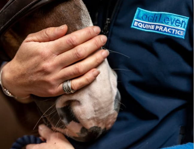 Loch Leven Equine Practice logo
