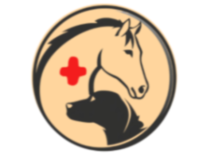Daktari logo