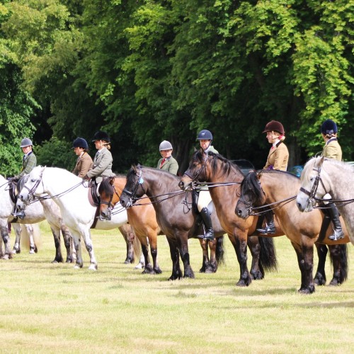 Native Breed Show