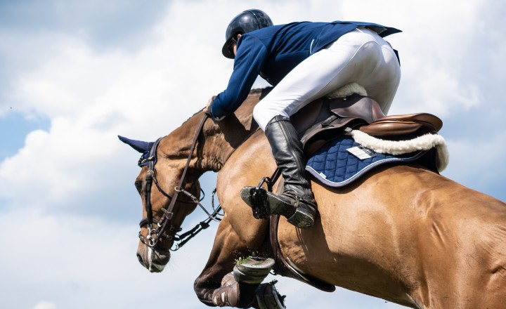 Close up of horse jumping fence