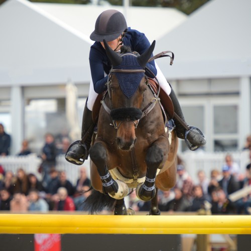 Horses jumping in arena with spectators