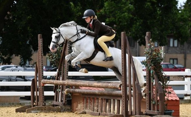 Native pony breed show