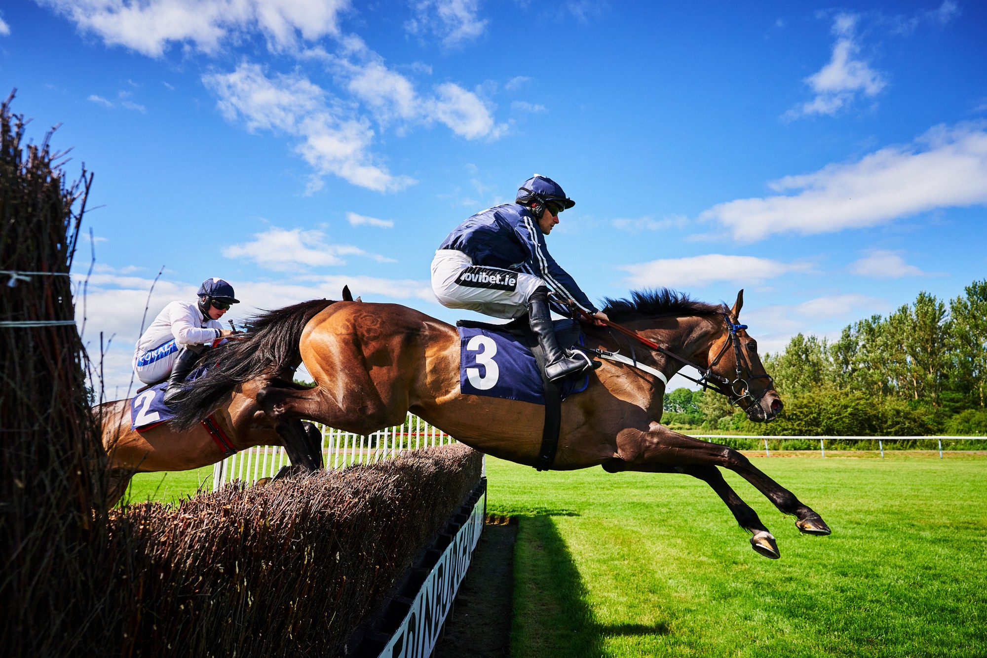 Racehorse image - Fraser Band