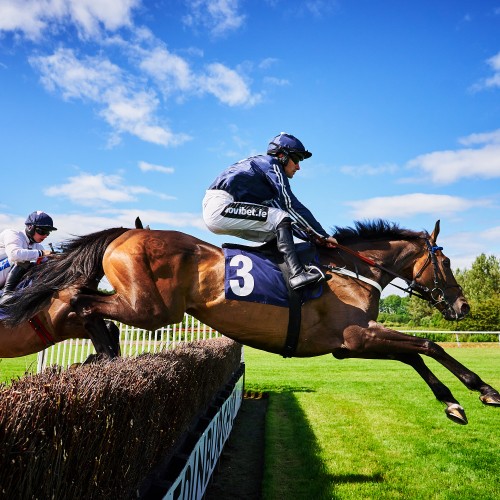 Retraining of Racehorses