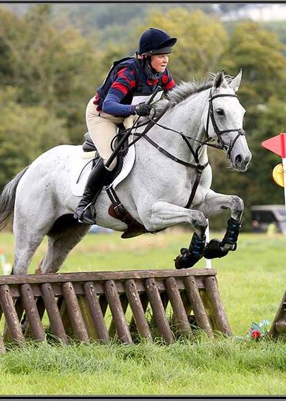 Grey horse showjumping over a wooden fence in a open grass field. The wooden fence is positioned in between two white poles with red flags. The rider of the horse is holding onto the reins and wearing a showjumping uniform of a navy and red striped jersey with black safety hat.