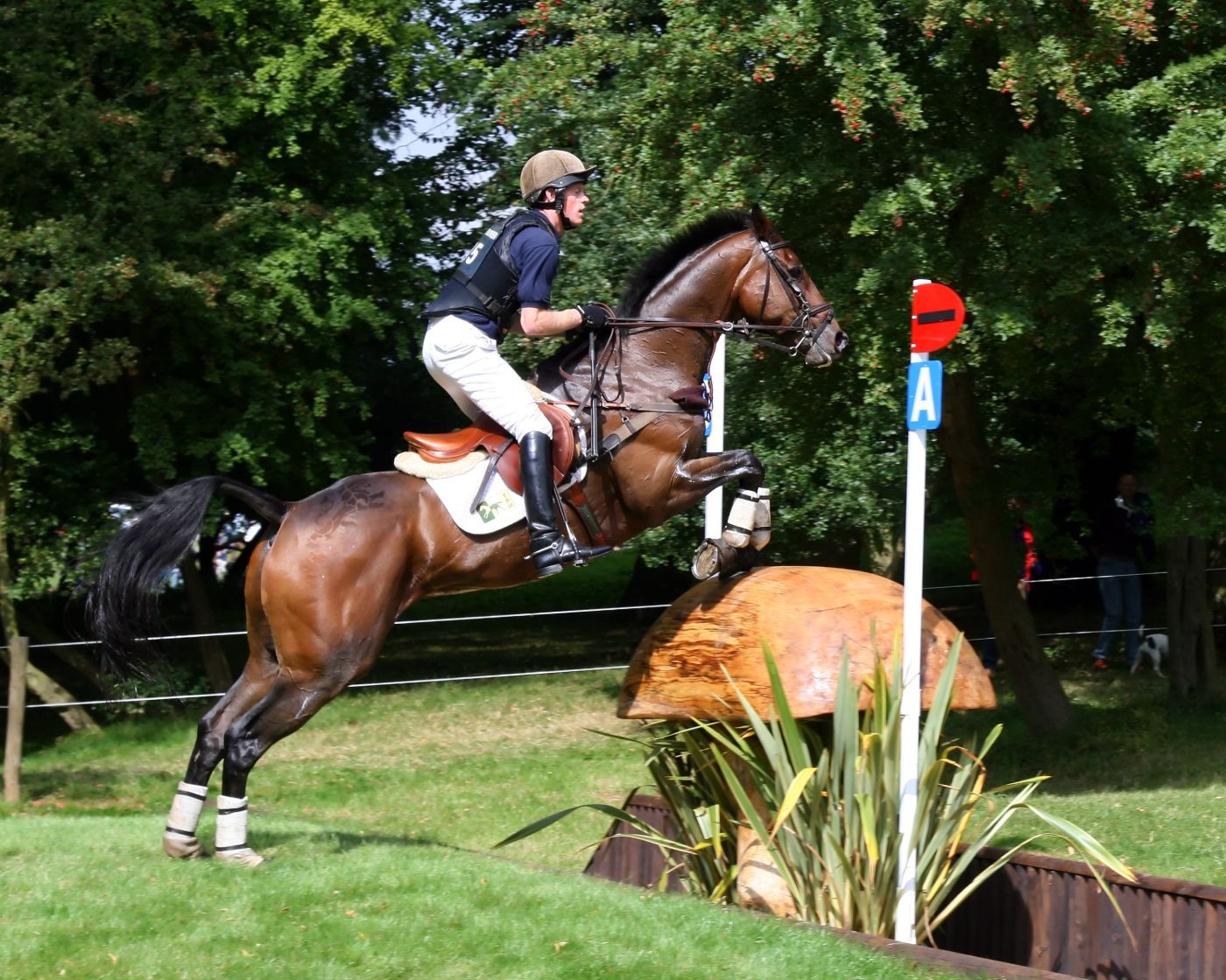 Course Walk Adobe Stock