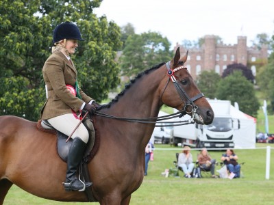 Top Racehorse