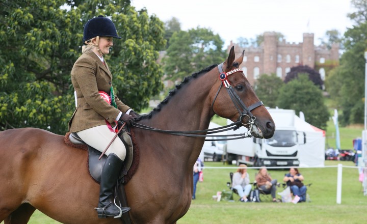 Top Racehorse