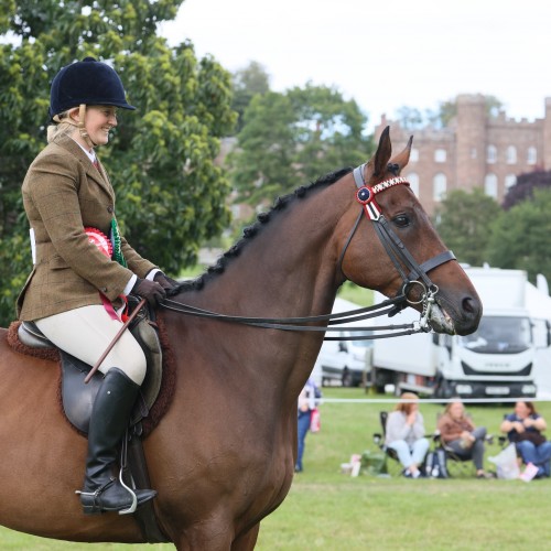 Top Racehorse