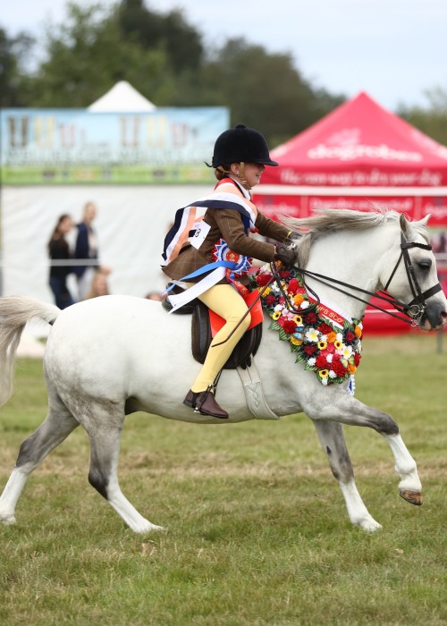 Dukeshill Penny Pincher and Olivia Dixon, supreme champions of show