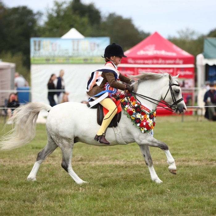Dukeshill Penny Pincher and Olivia Dixon, supreme champions of show