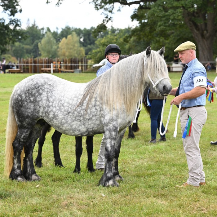 Bracklinn Beth handled by Alistair Smith, reserve supreme of show