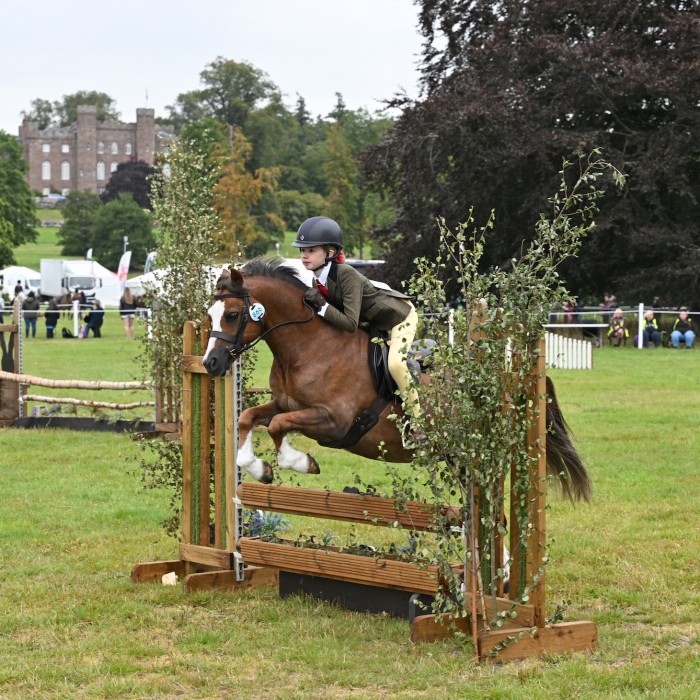 Rookery Bertie and Lucy Whiteford NPS M&M WHP Champion)