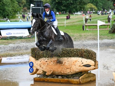 Alex Turnbull (Harelaw Wizard)