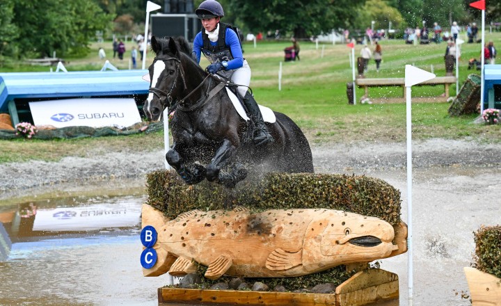 Alex Turnbull (Harelaw Wizard)