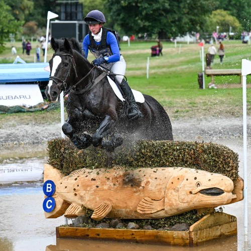 Alex Turnbull (Harelaw Wizard)