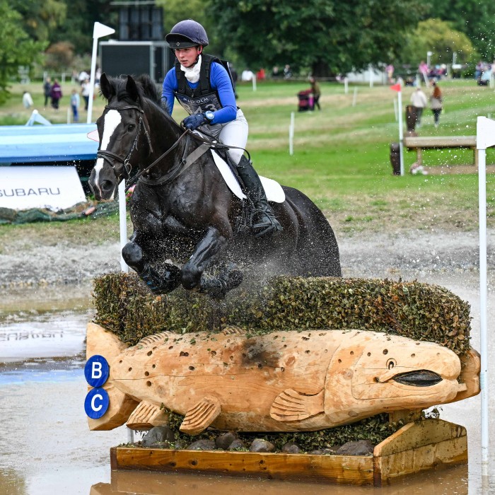Alex Turnbull (Harelaw Wizard)