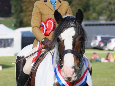 Hunter Show