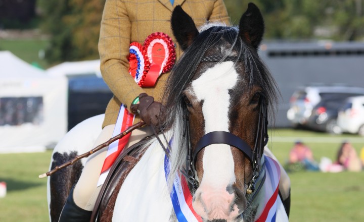 Hunter Show