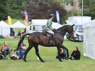 Retraining of Racehorse