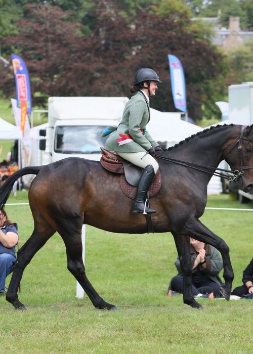 Retraining of Racehorse