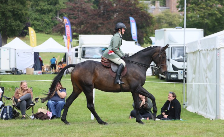 Retraining of Racehorse