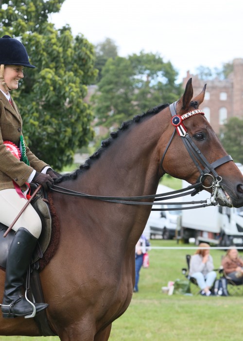 Retraining of Racehorse