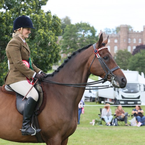 Retraining of Racehorse