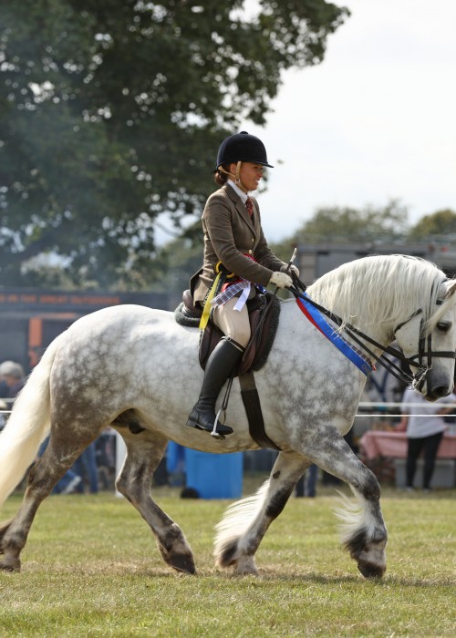 National Pony Society Mini Champions
