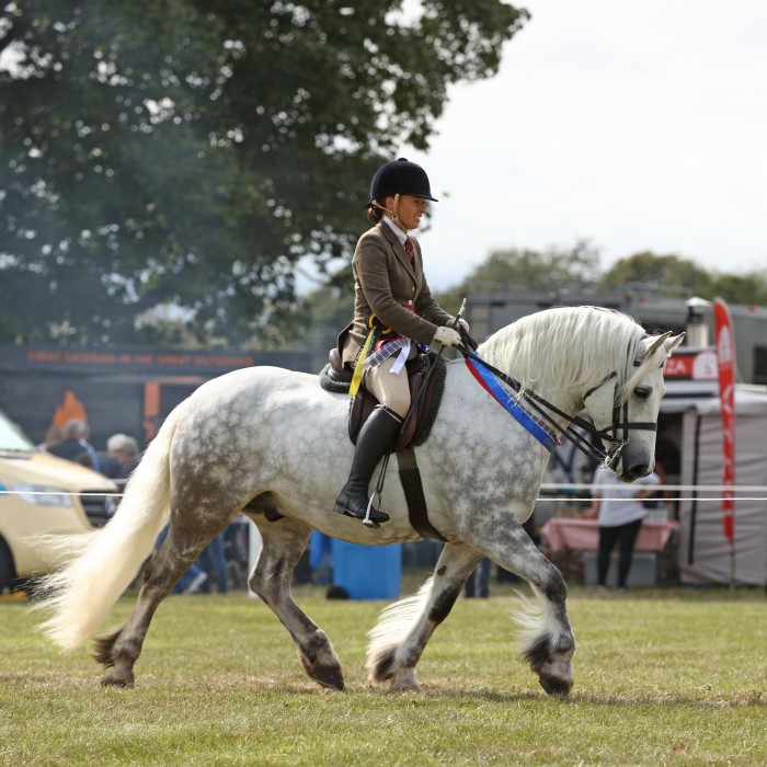 National Pony Society Mini Champions