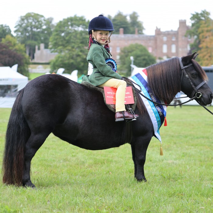 National Pony Society Mini Champions