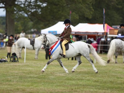 National Pony Society Ridden Champion