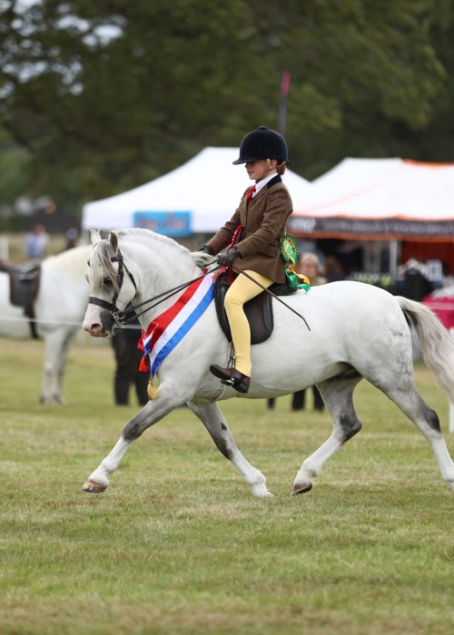 National Pony Society Ridden Champion