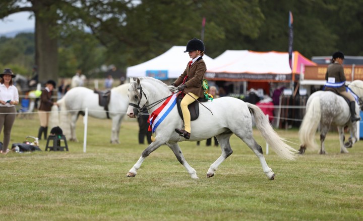 National Pony Society Ridden Champion