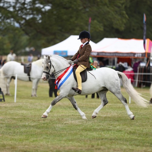 National Pony Society (NPS) Scotland Finals