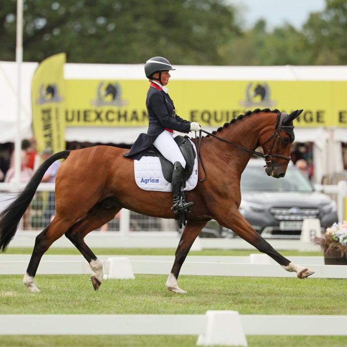 FEI Eventing