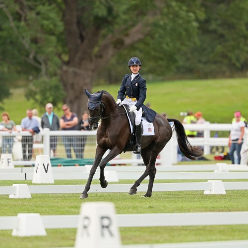 FEI Eventing