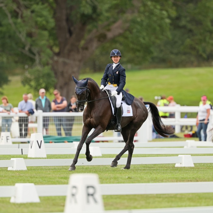 FEI Eventing