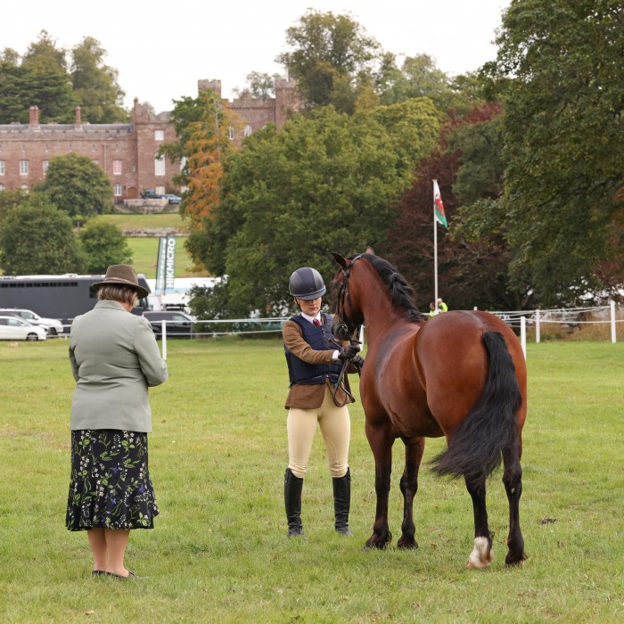 National Pony Society