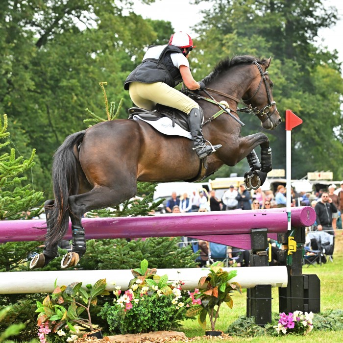 FEI Eventing