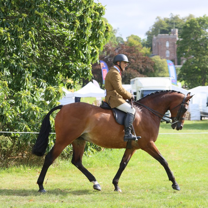 Hunter Show