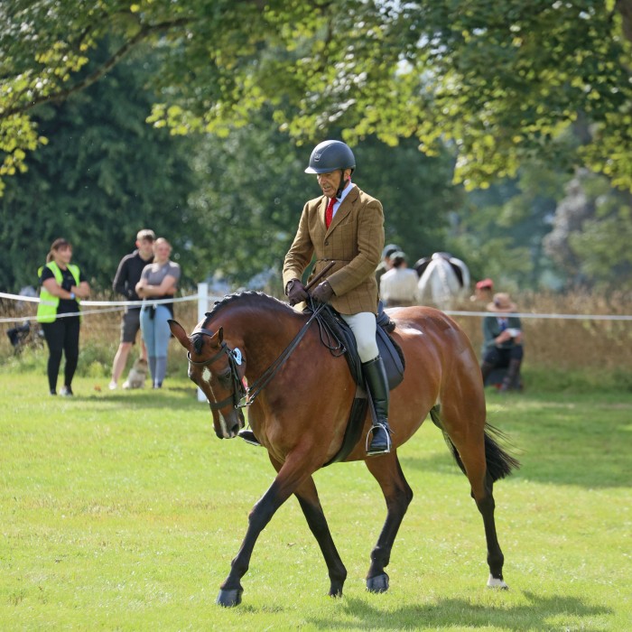 Hunter Show